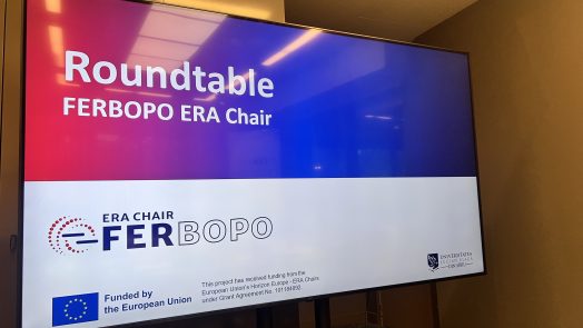 FERBOPO Roundtable on Gender Equality - May 2025